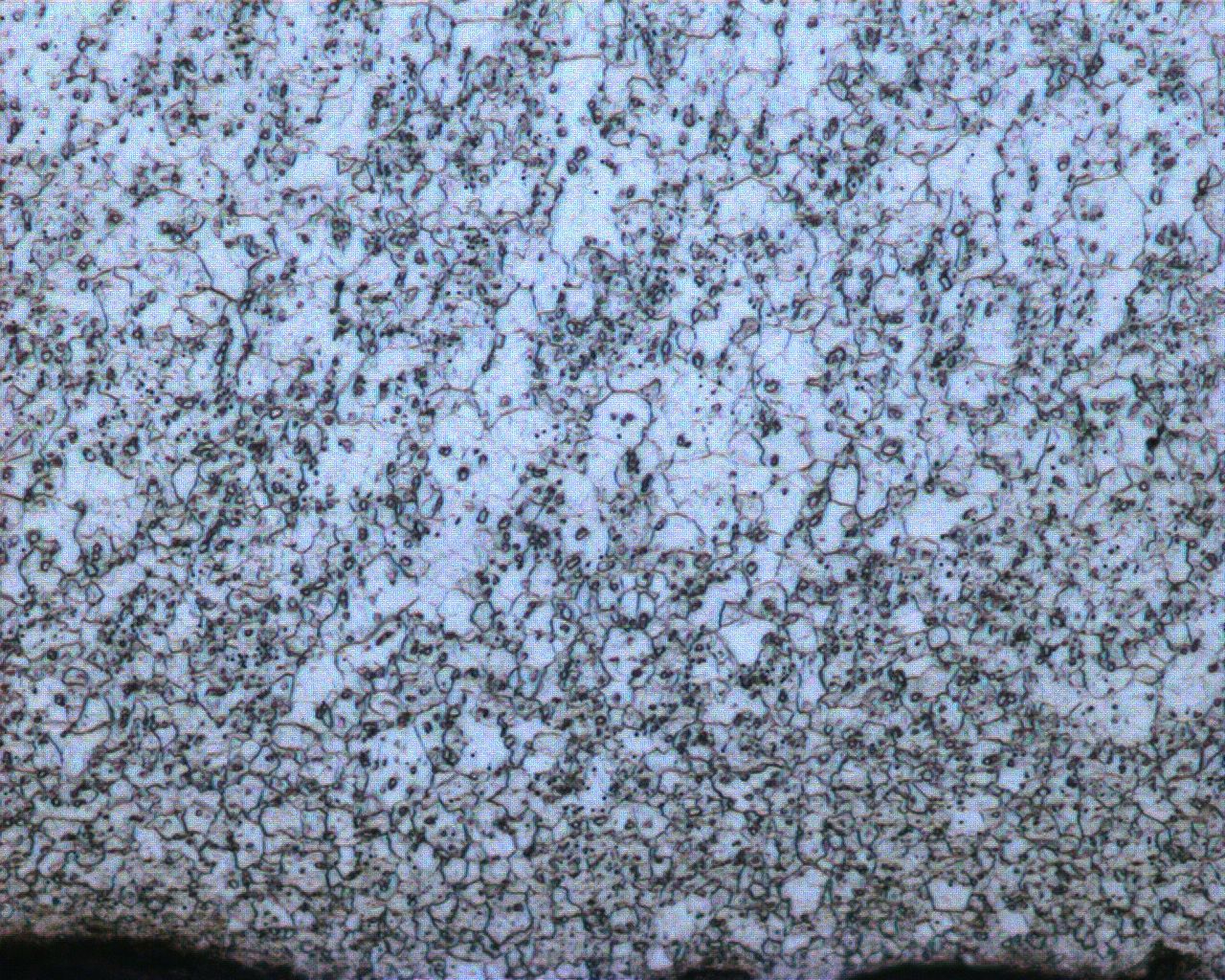 1-500X-4.JPG