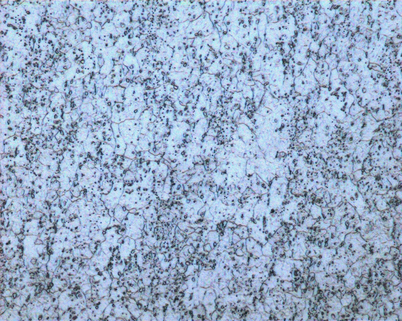 1-500X-5.JPG