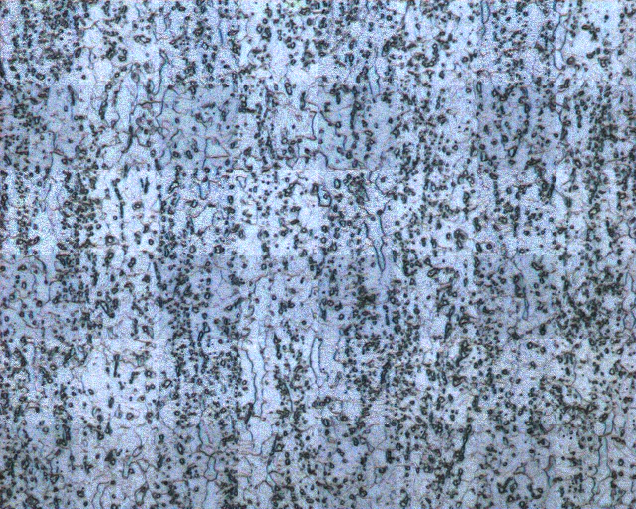 1-500X-6.JPG