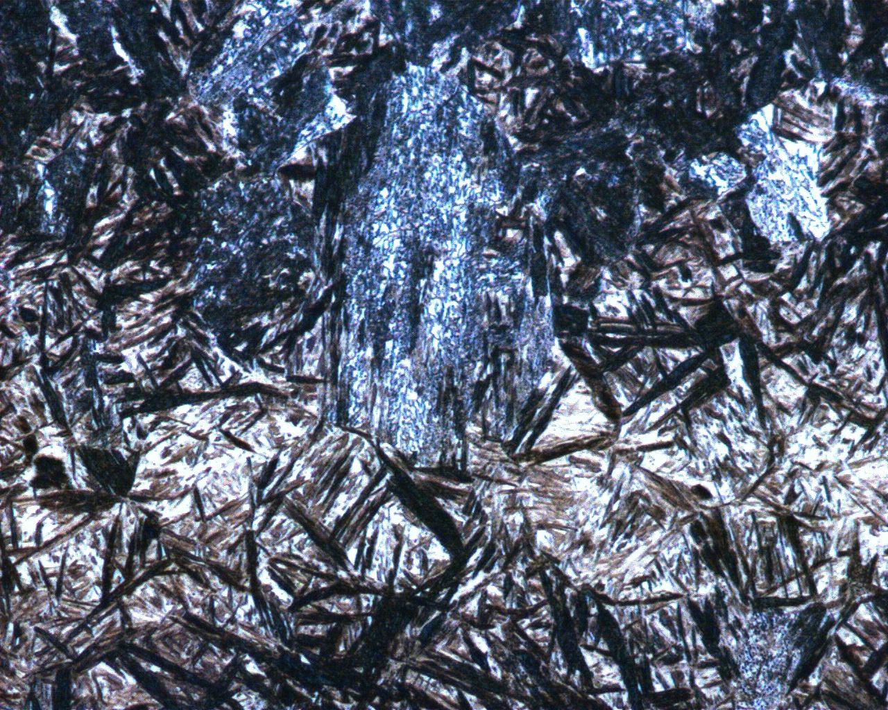 2-500X-1.JPG