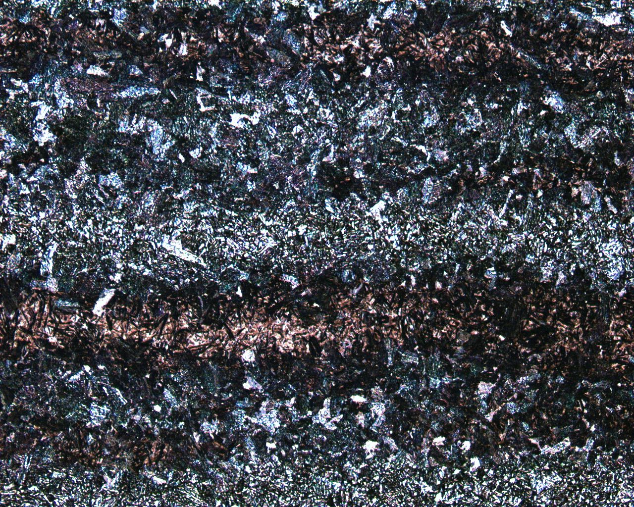 2-100X-4.JPG