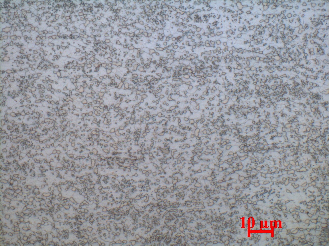 冷轧后球化退火