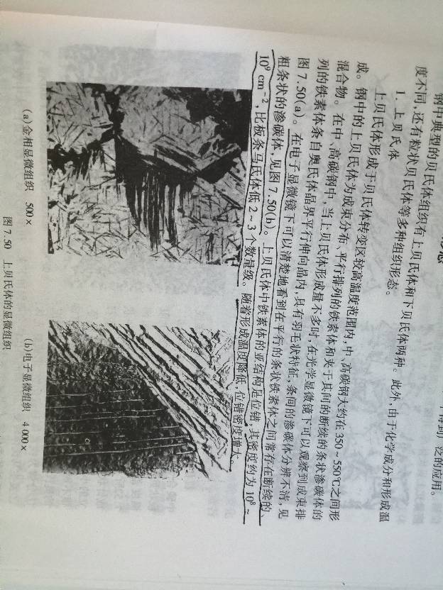 054532skljw1a8kxlaokba.jpg