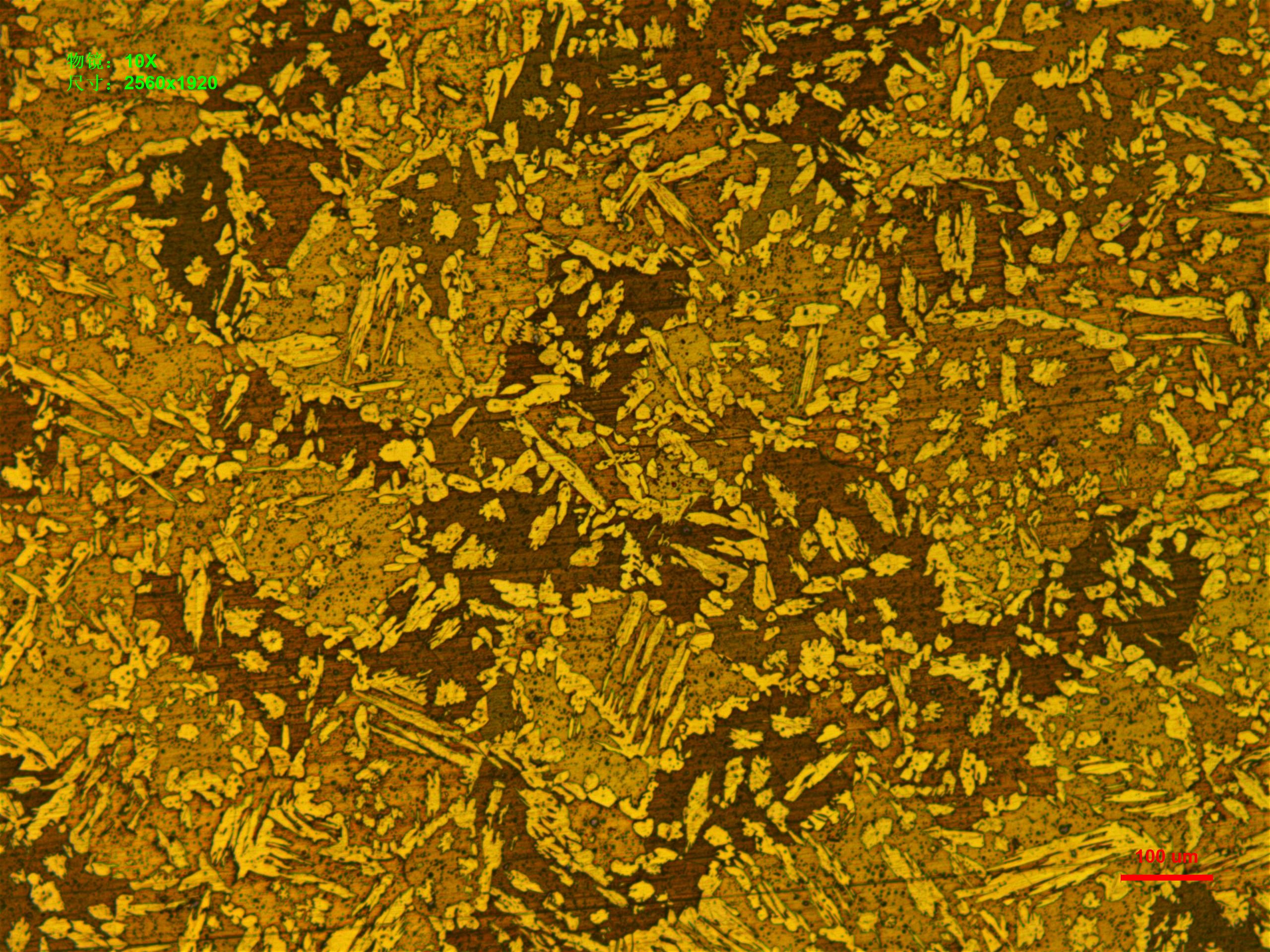 锡青铜金相组织