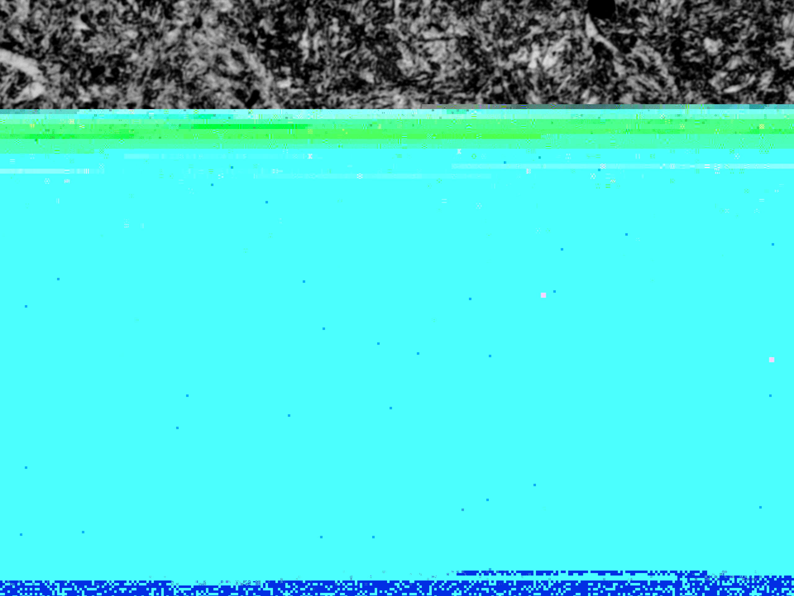0003.jpg