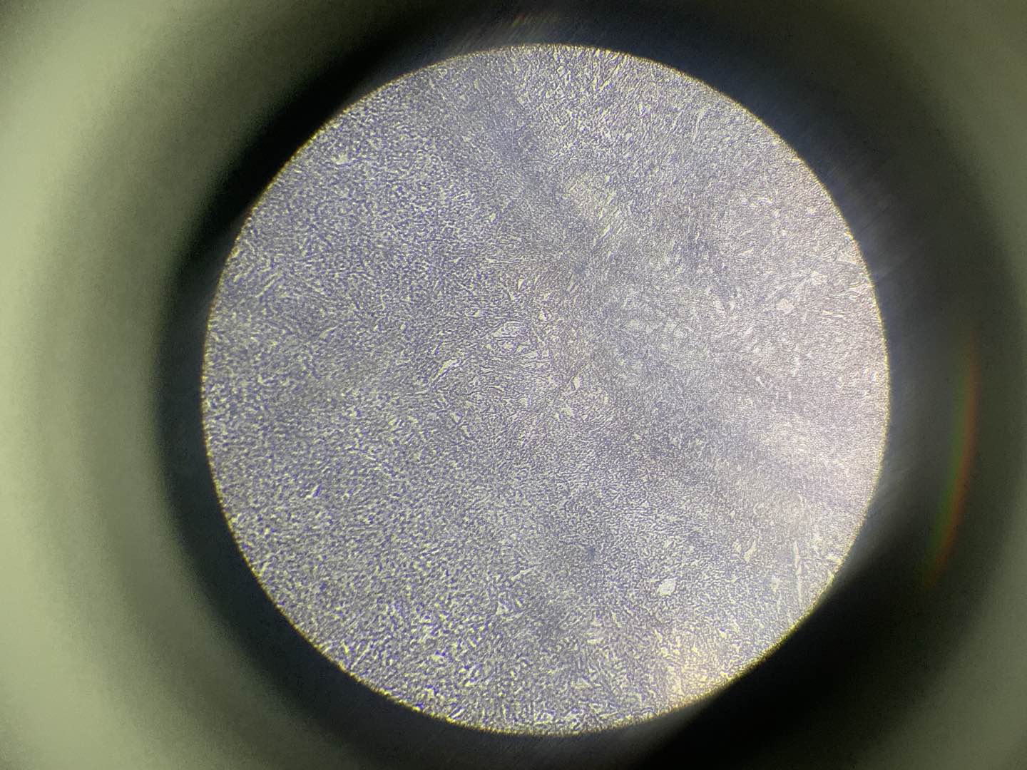 250x