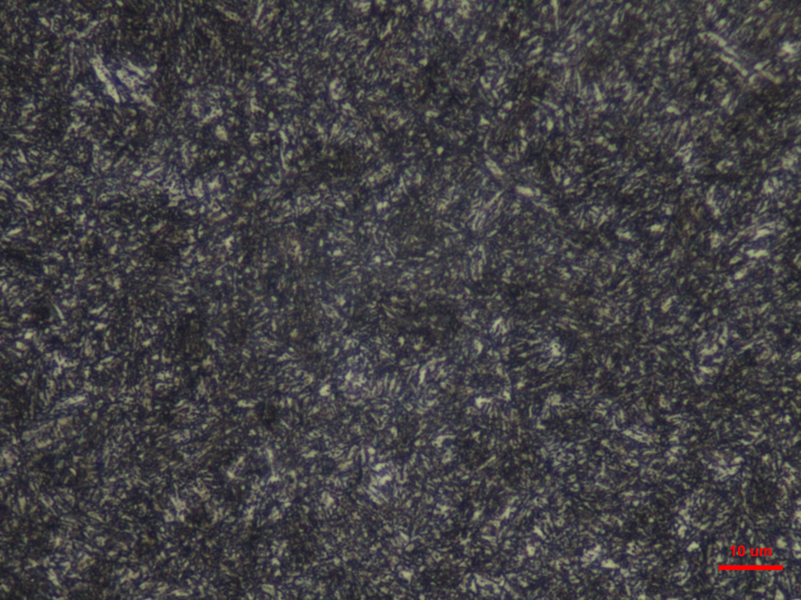 42CrMo         860      水淬回组织1.JPG