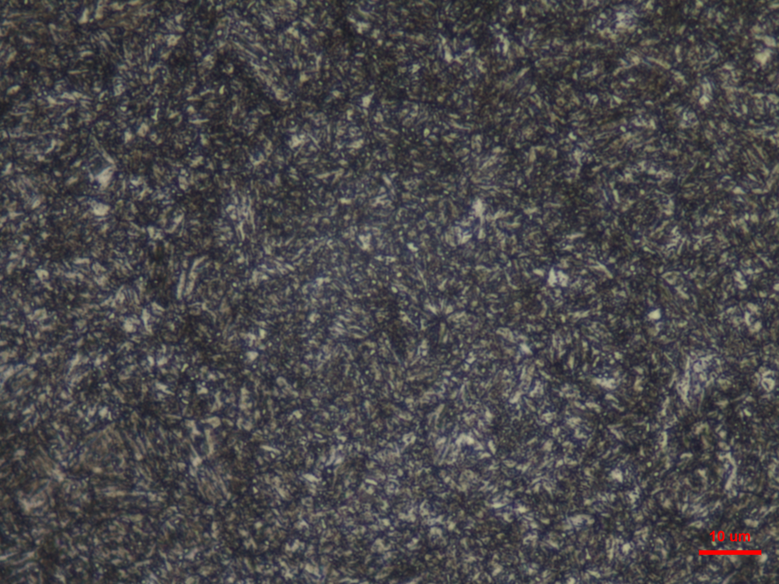 42CrMo         860      水淬回组织2.JPG