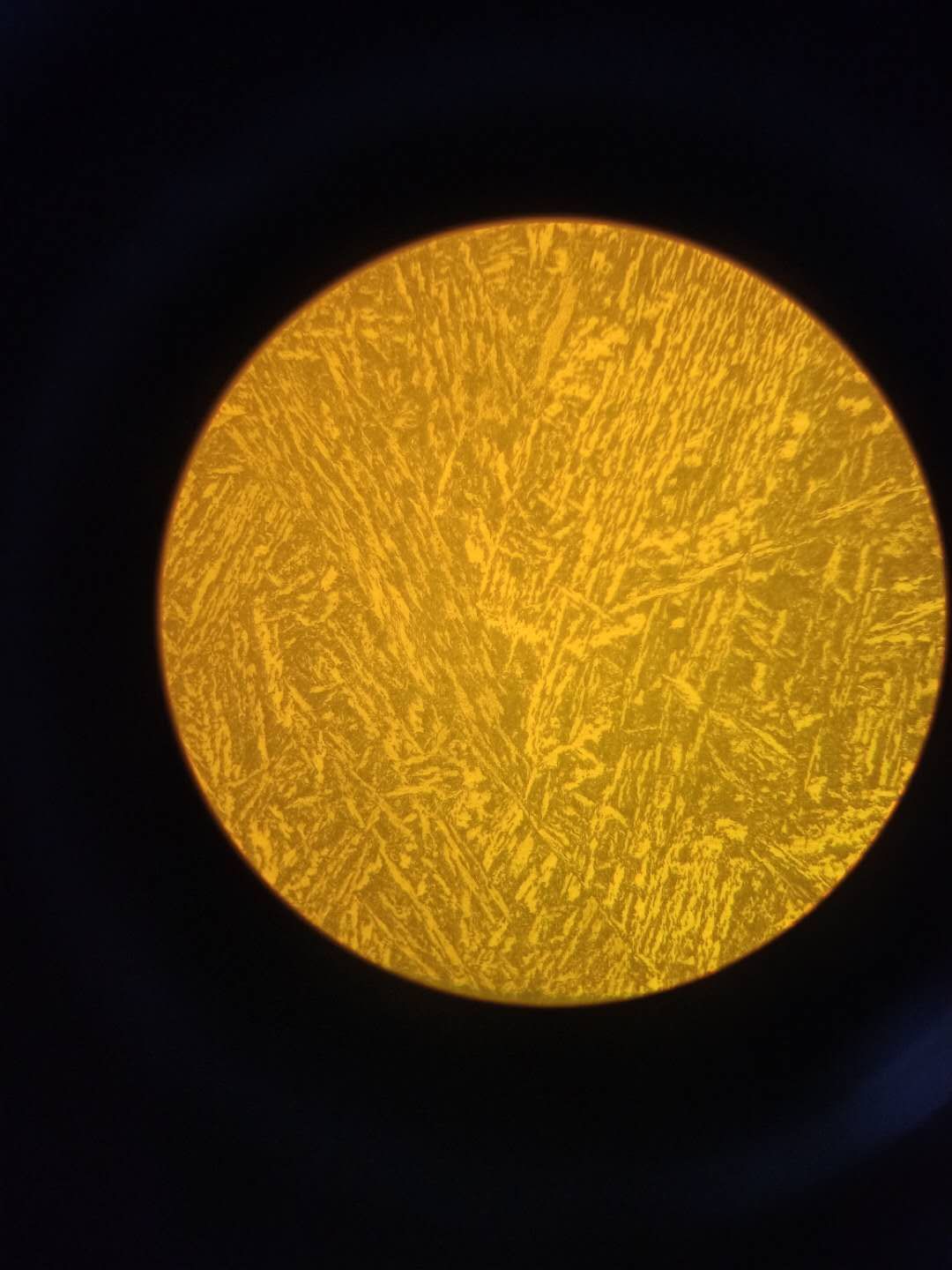 500X 组织如下-1