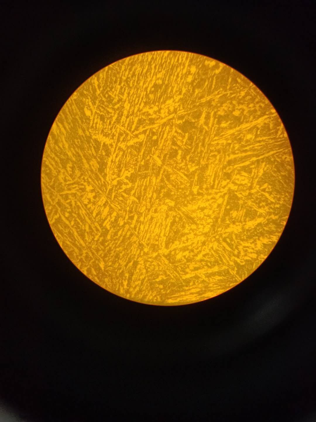 500X 组织如下-2