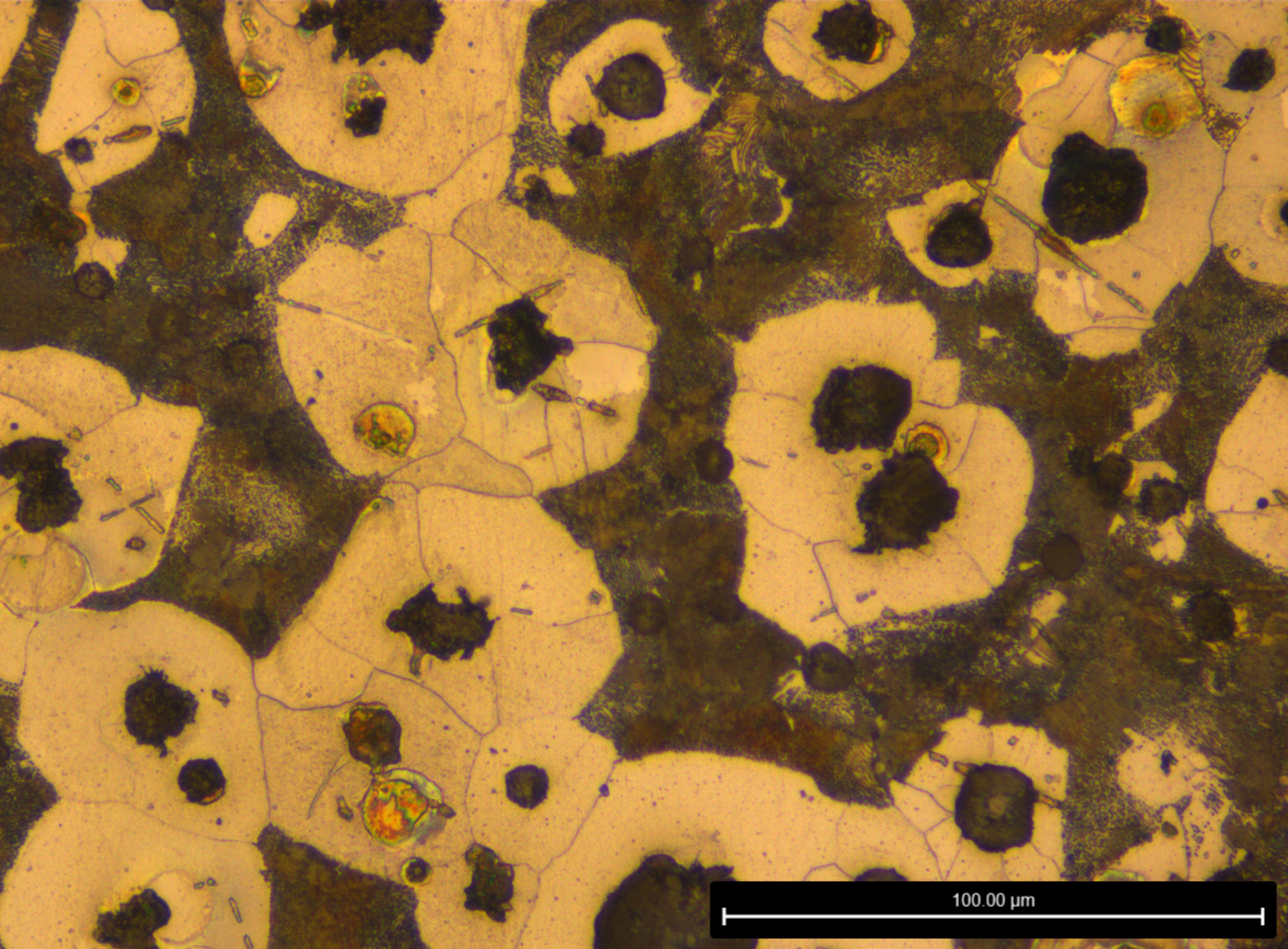 A1 3 硝酸酒精浸蚀 X500-2.jpg