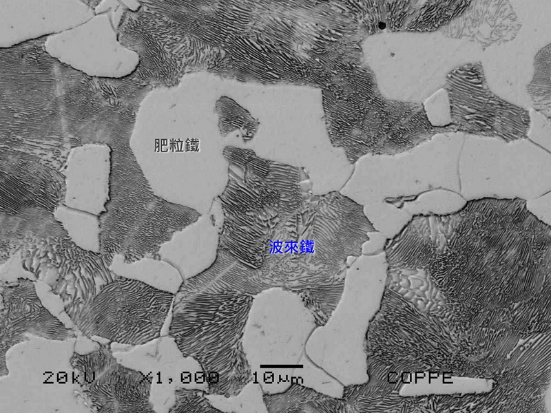 F  Pearlite -2.jpg