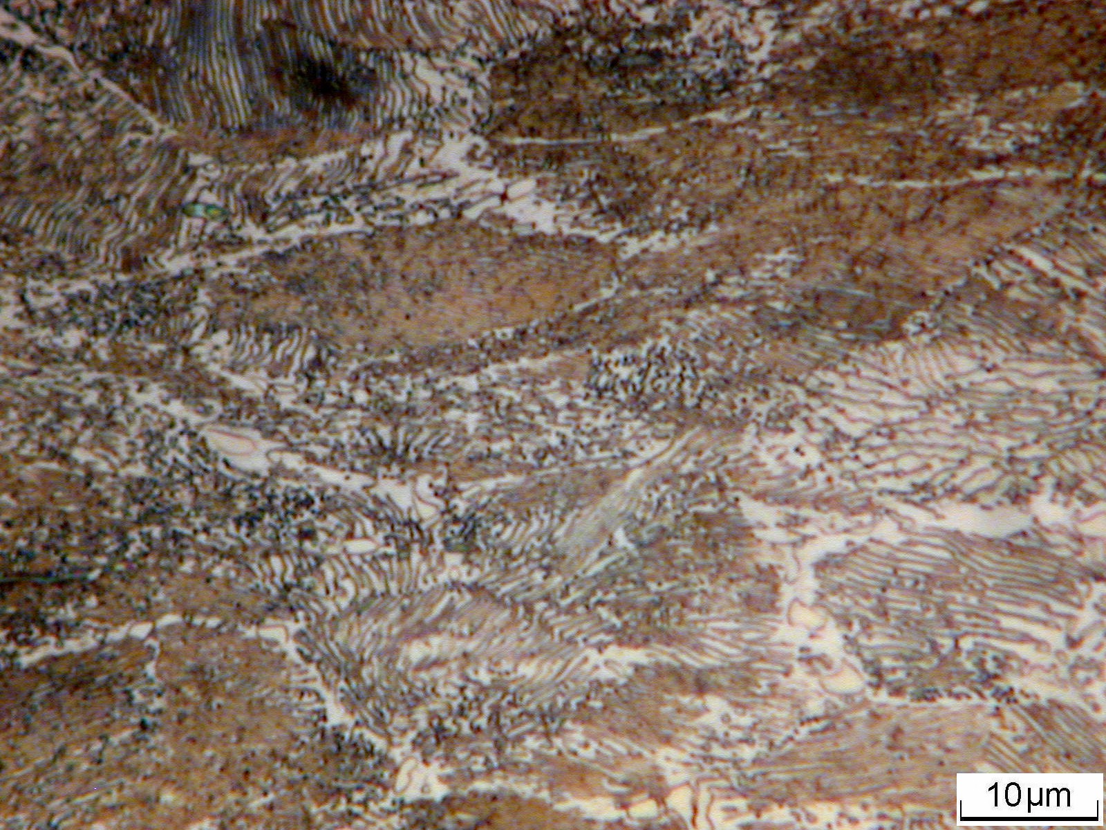 pp 011 .jpg