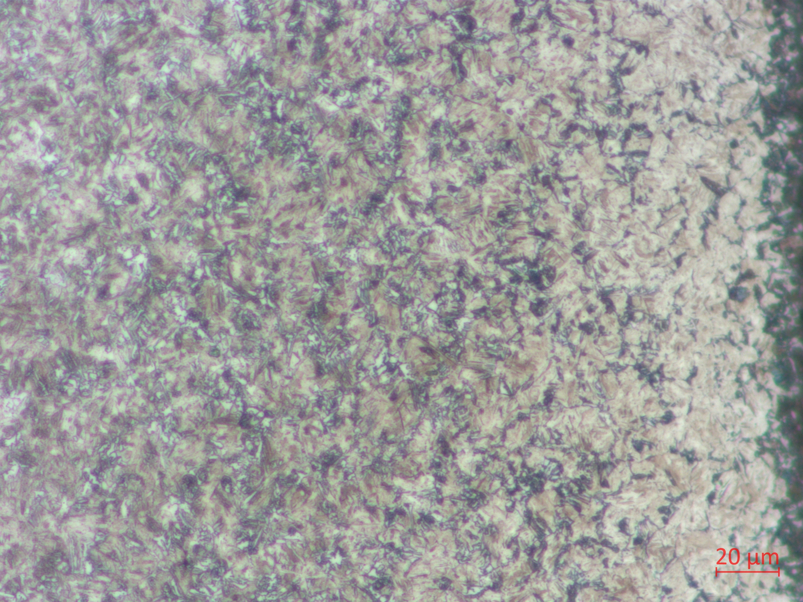 Image--03.jpg
