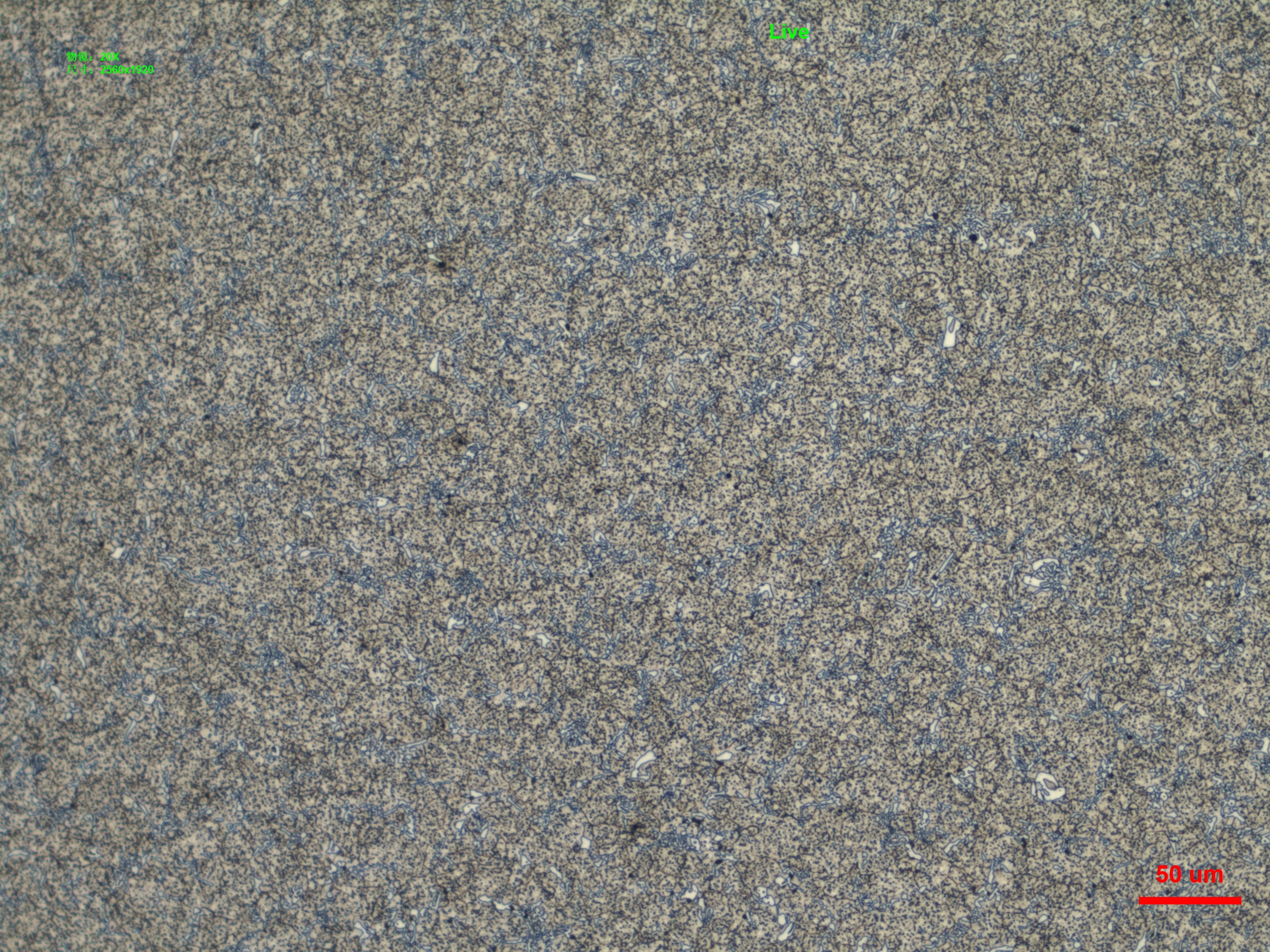 200X