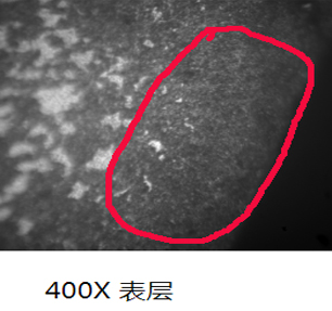 图一400倍表层