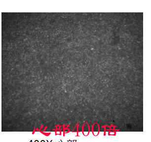 图三400倍心部