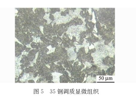 灰白色组织