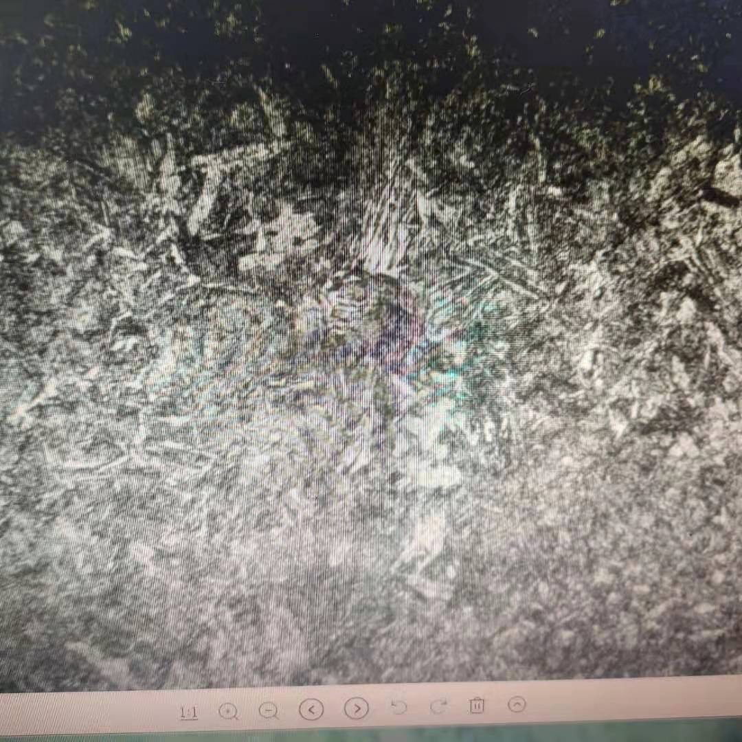 微信图片_20210401164218.jpg
