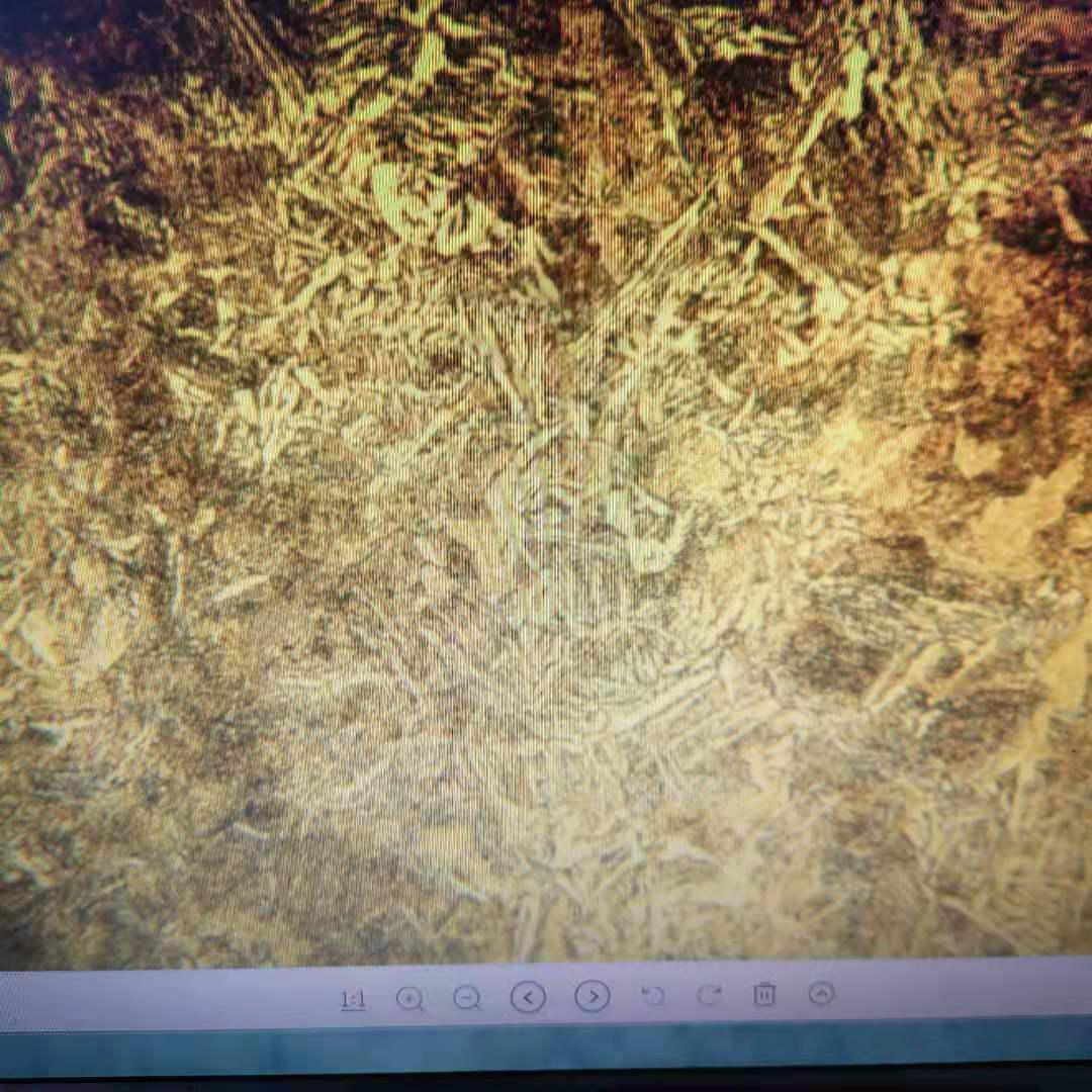 微信图片_20210401164202.jpg