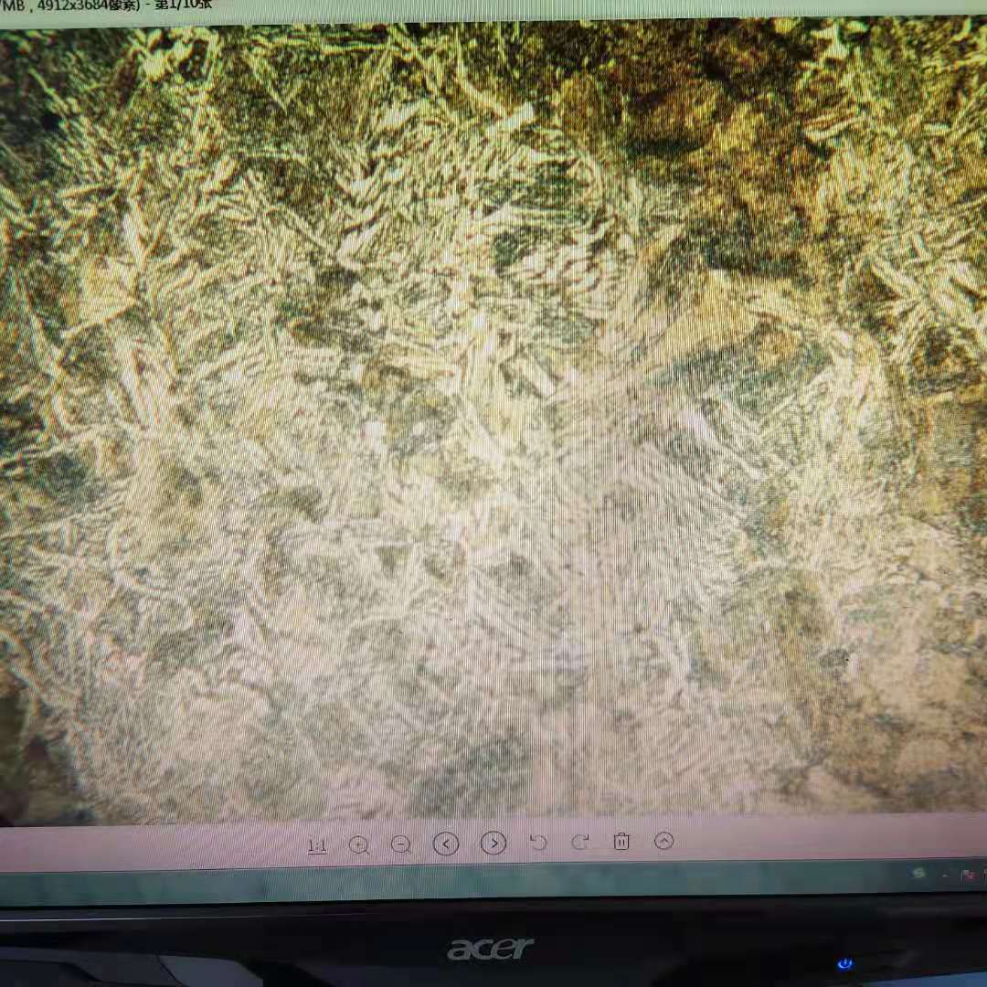微信图片_20210401164208.jpg