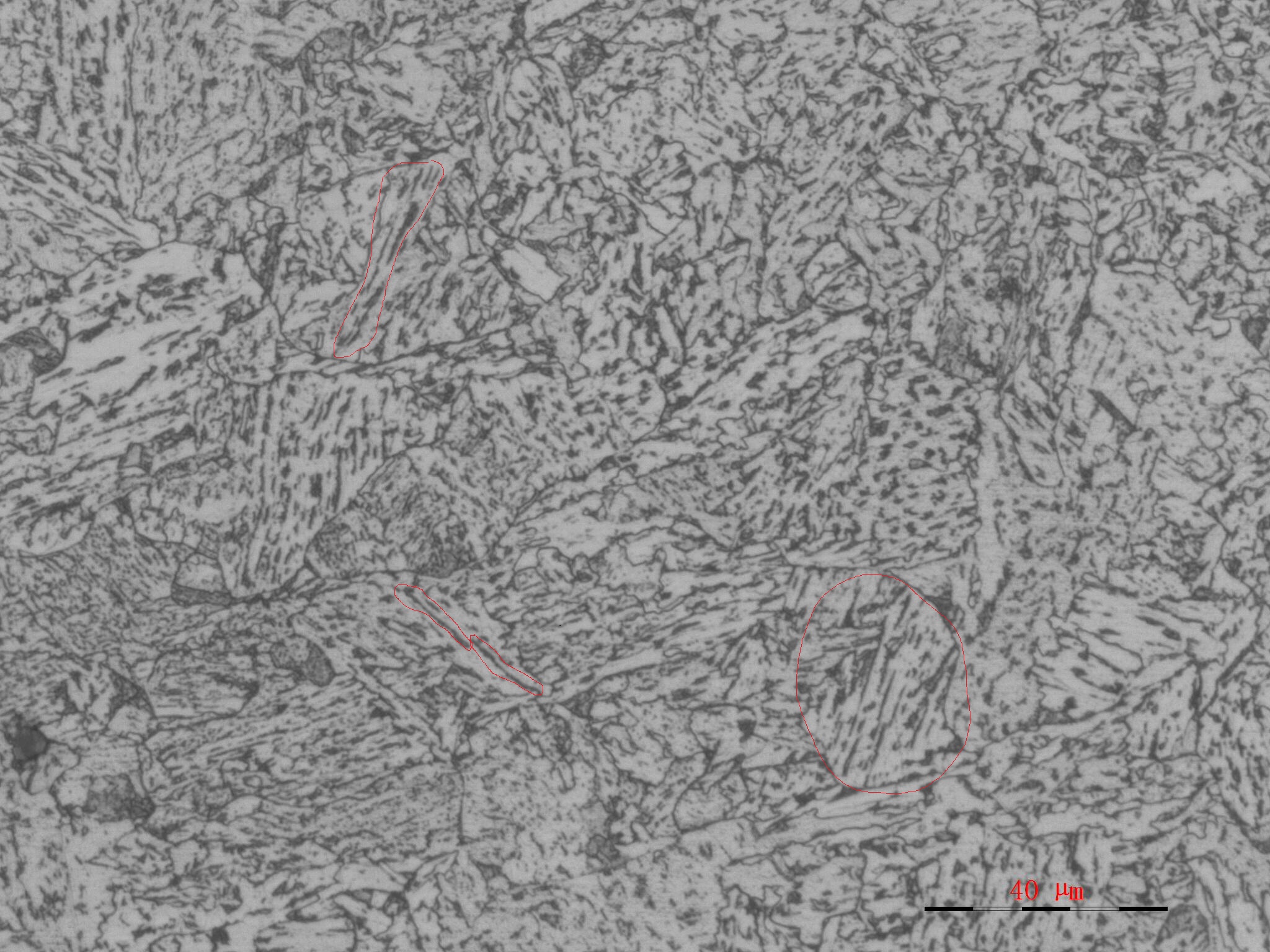 500X 画圈部分我理解为粒B和上B的混合，不置可否