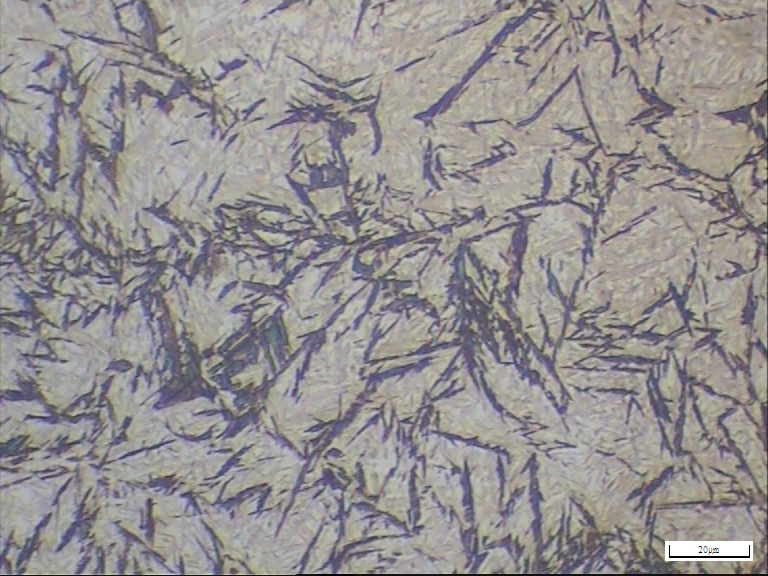 100x24丝杠试样21.JPG
