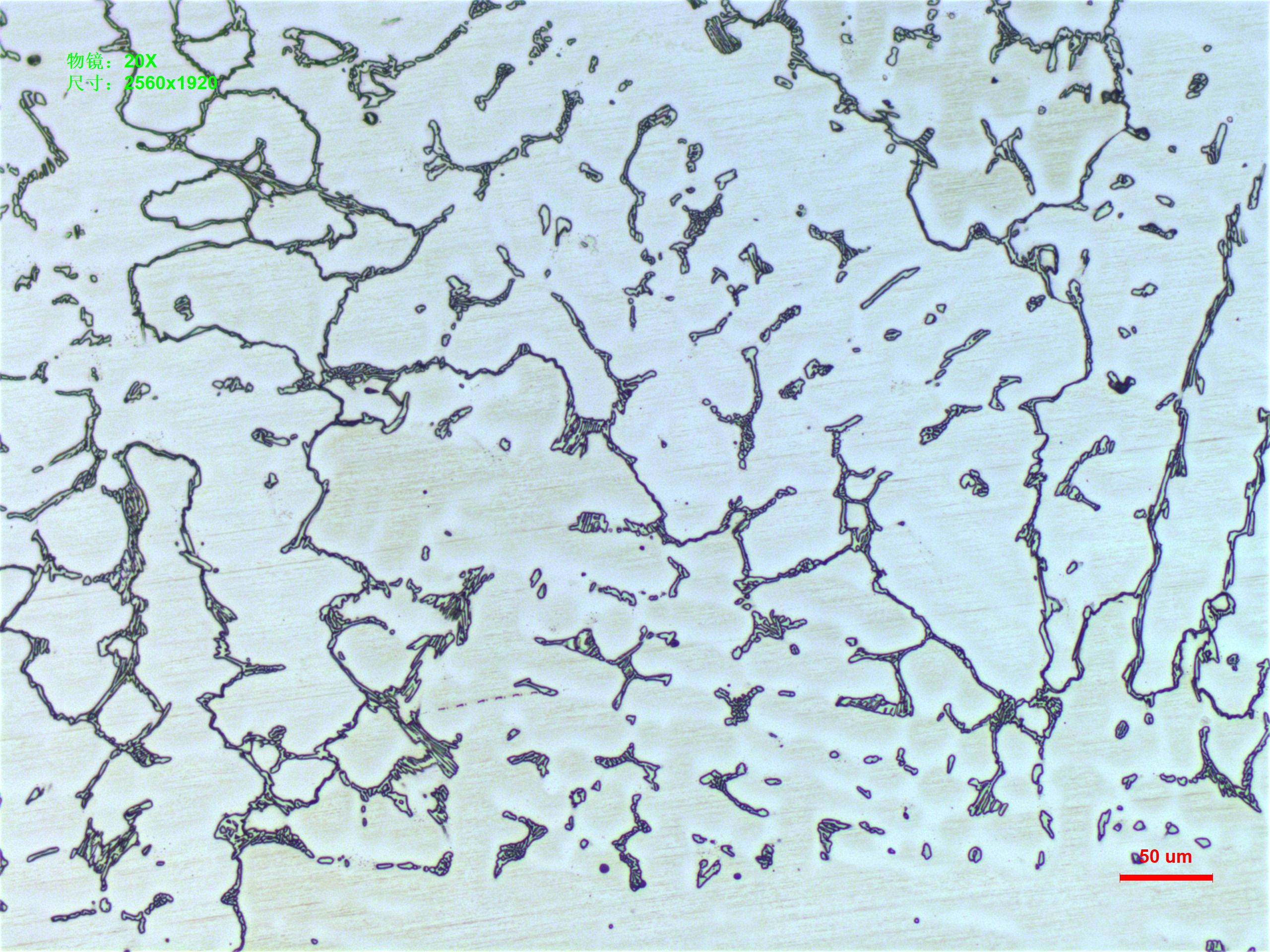 铸造高温合金-3.JPG