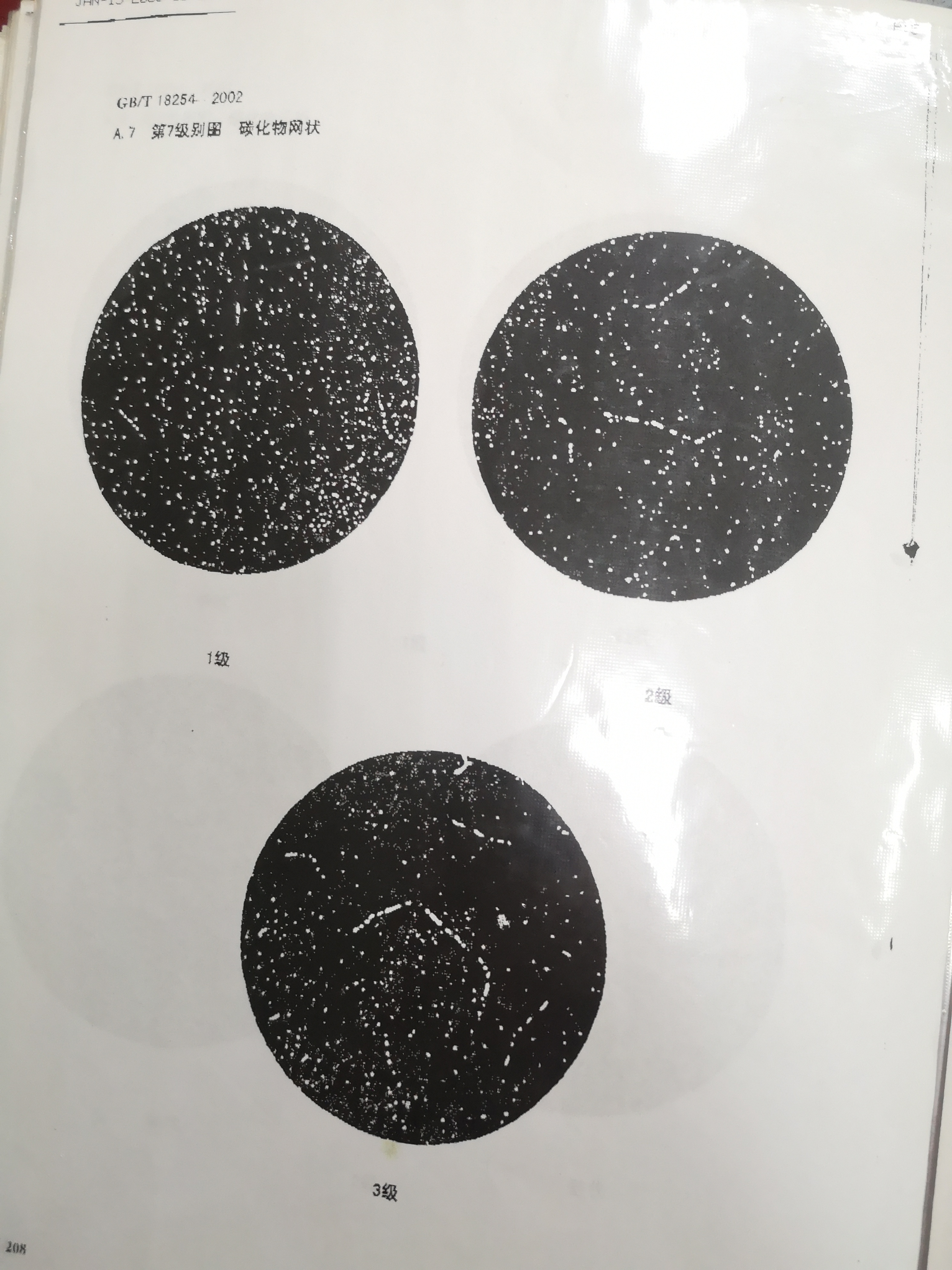 碳化物网状.jpg