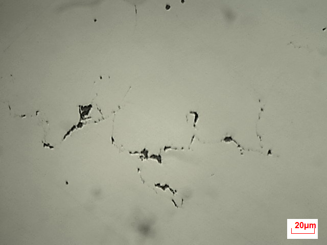 500X-1.jpg