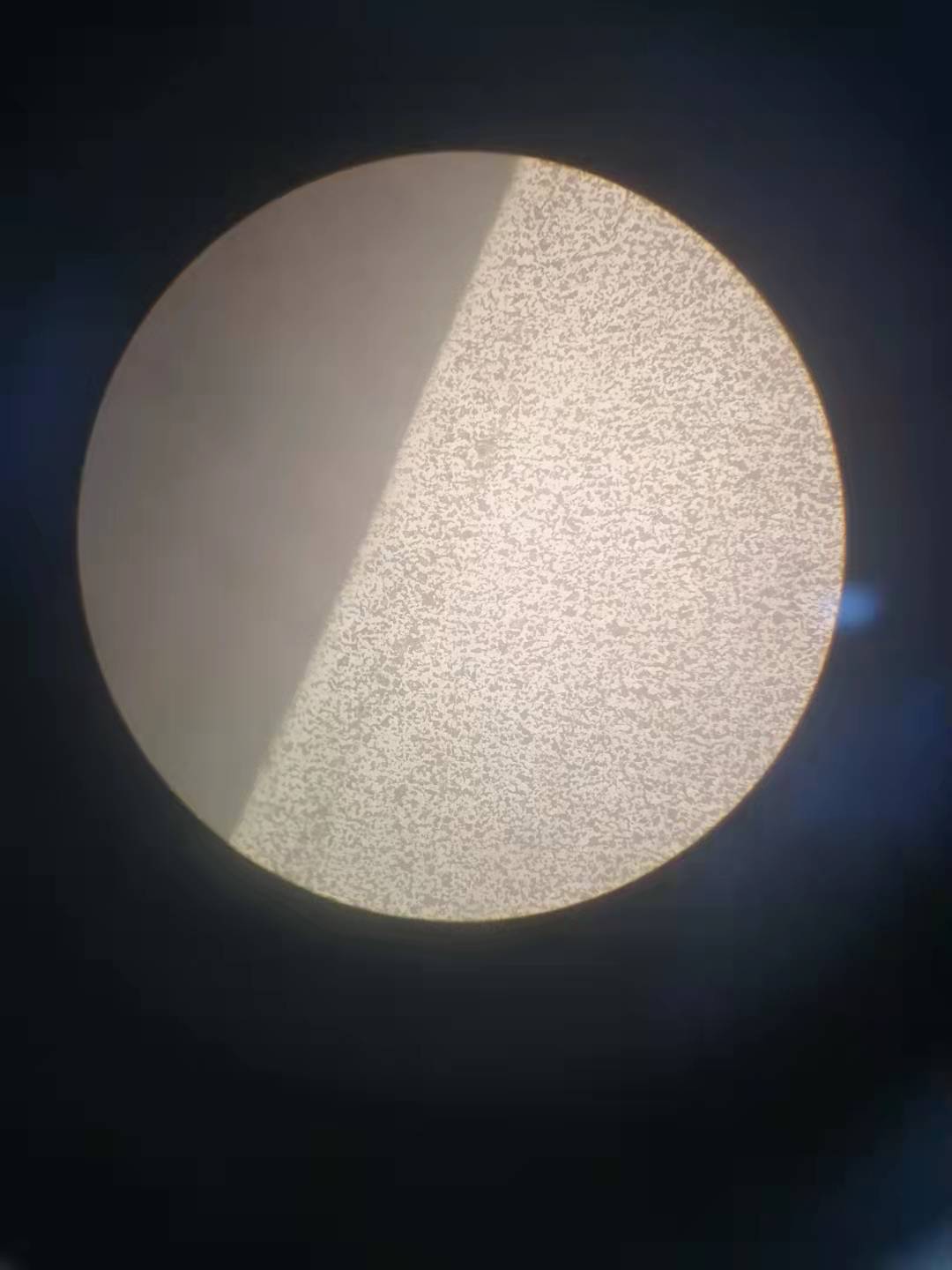 斜齿正火组织2
