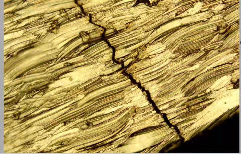 54ccf959bcc3ca65d13db56d0667466.jpg