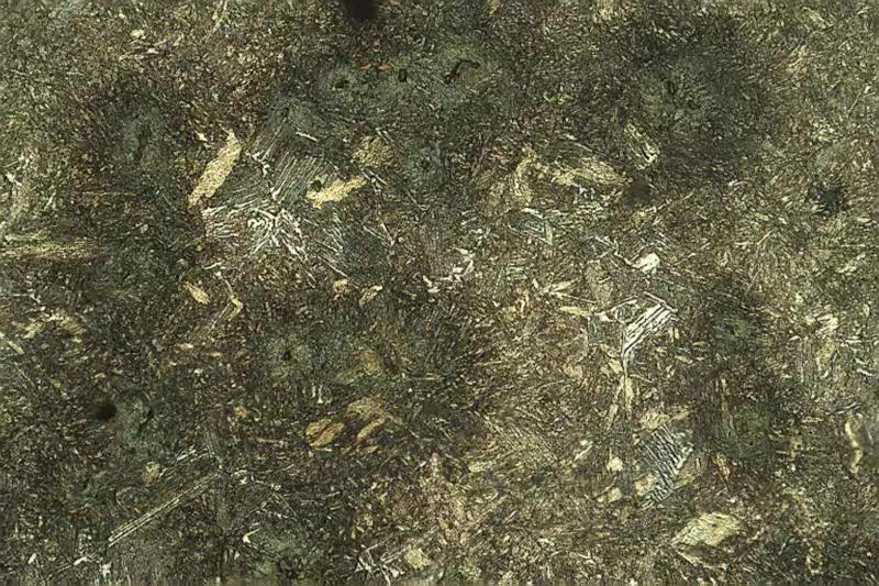 50T链轨节金相组织500X-2.jpg