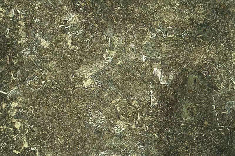 50T链轨节金相组织500X-1.jpg