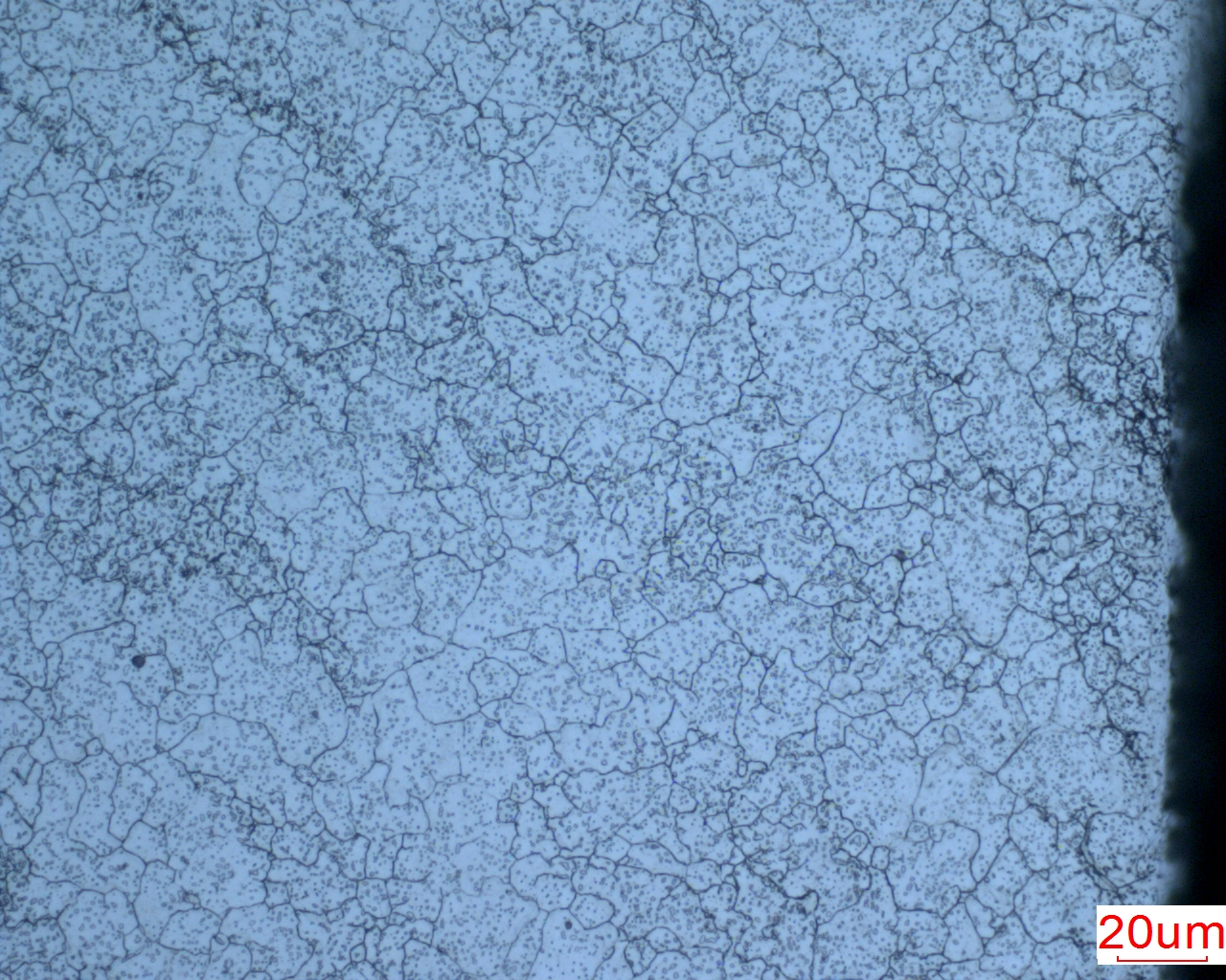 21082714030421235853l10310.jpg