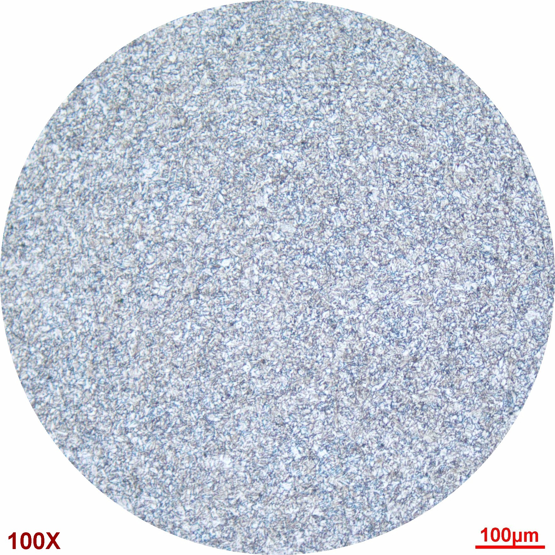 16mn100.jpg