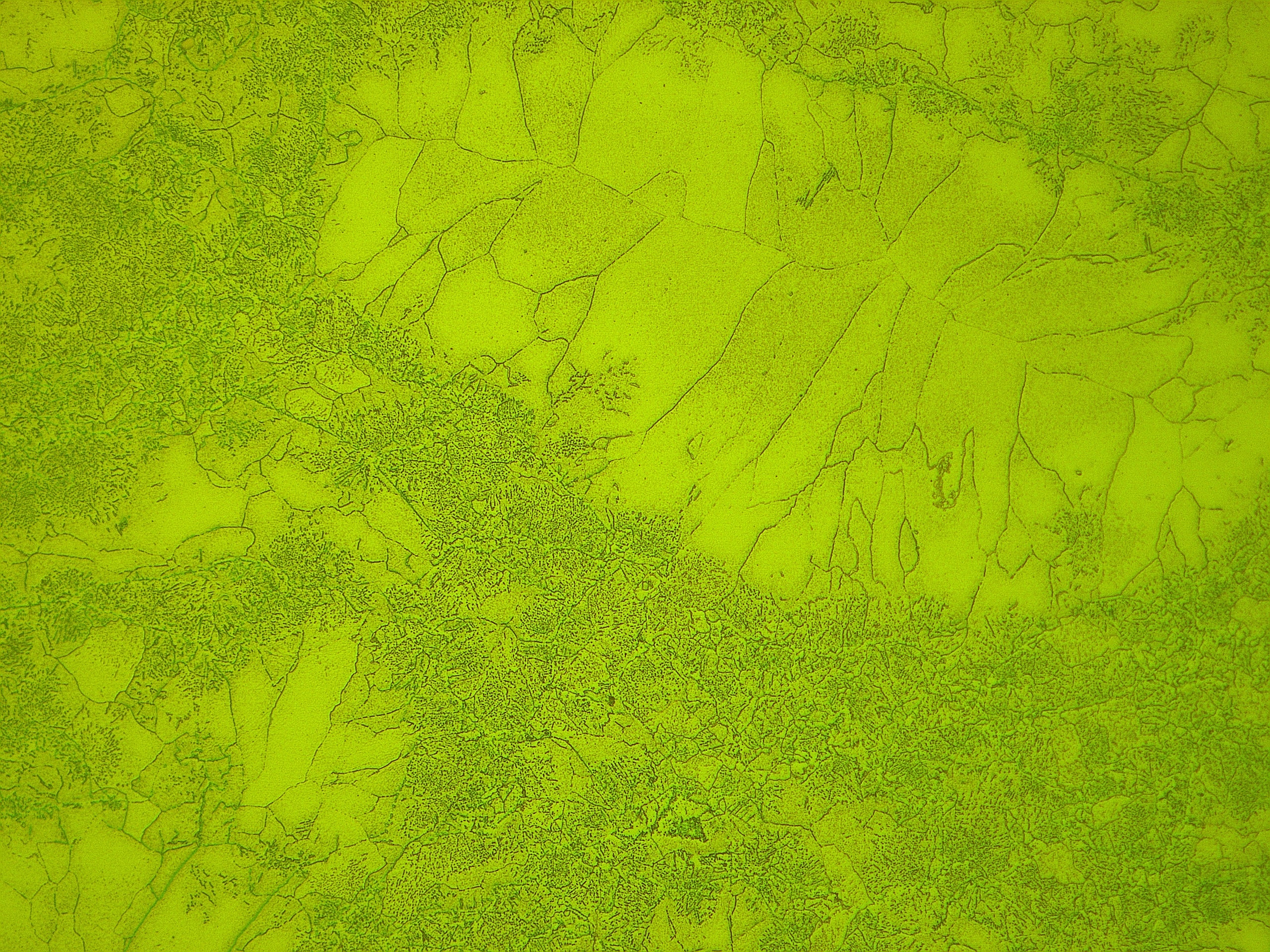 200x