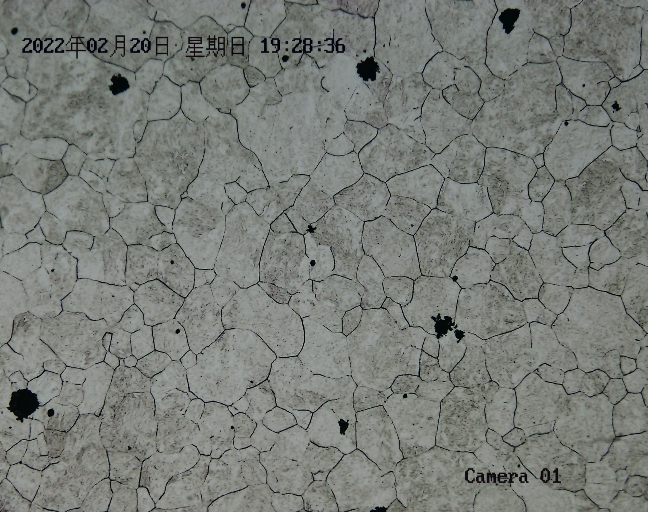 mmexport1645403702994.jpg