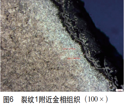 mmexport59021fb64686a5080cbb086410038a93_1648014897549.png