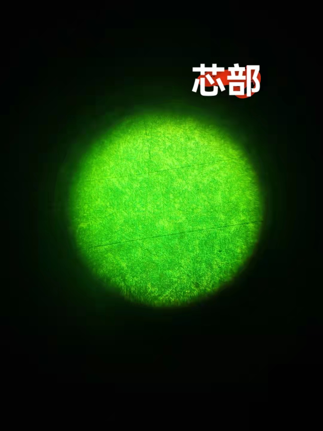 微信图片_20220329081442.jpg