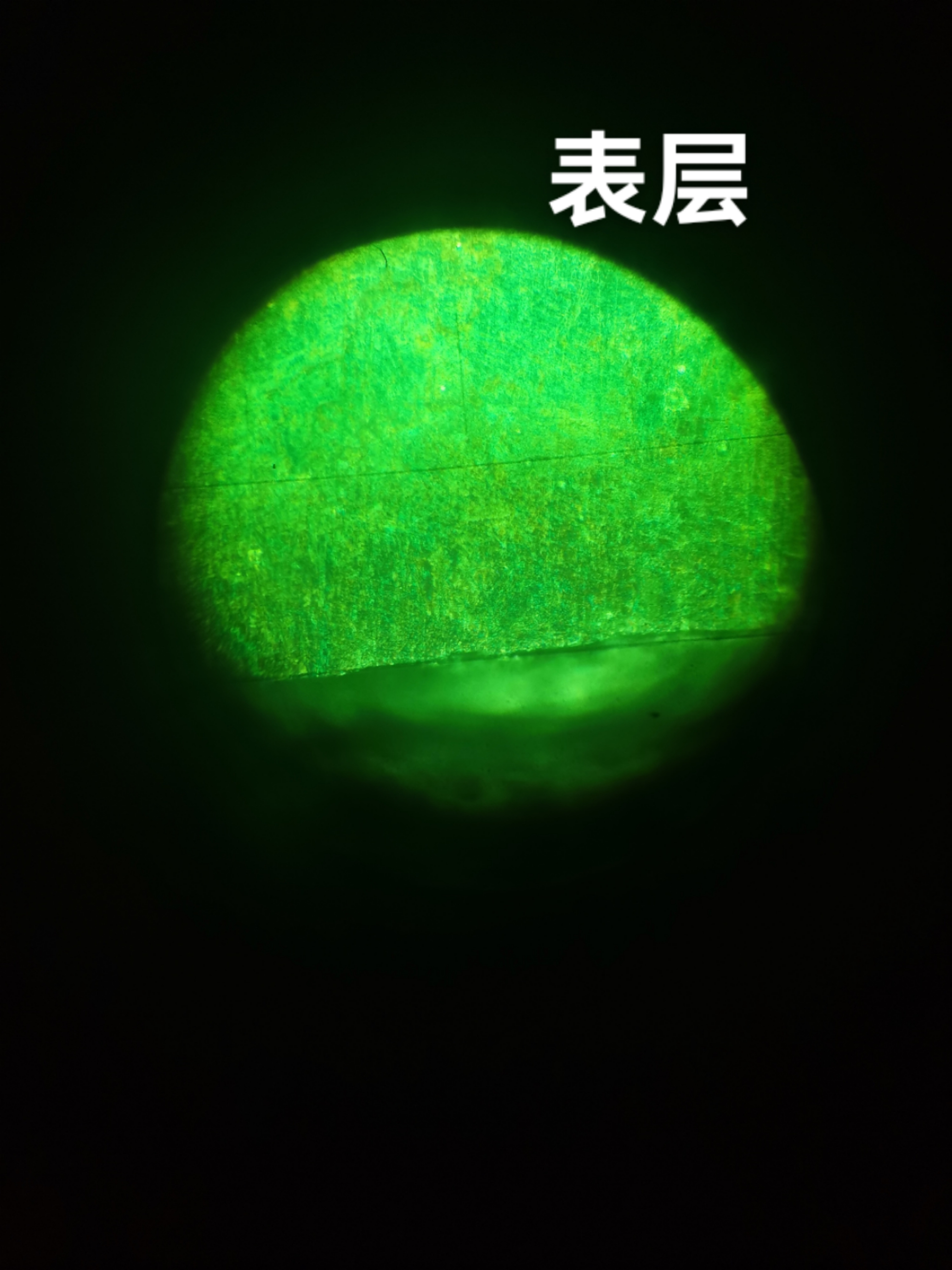 微信图片_20220329081506.jpg