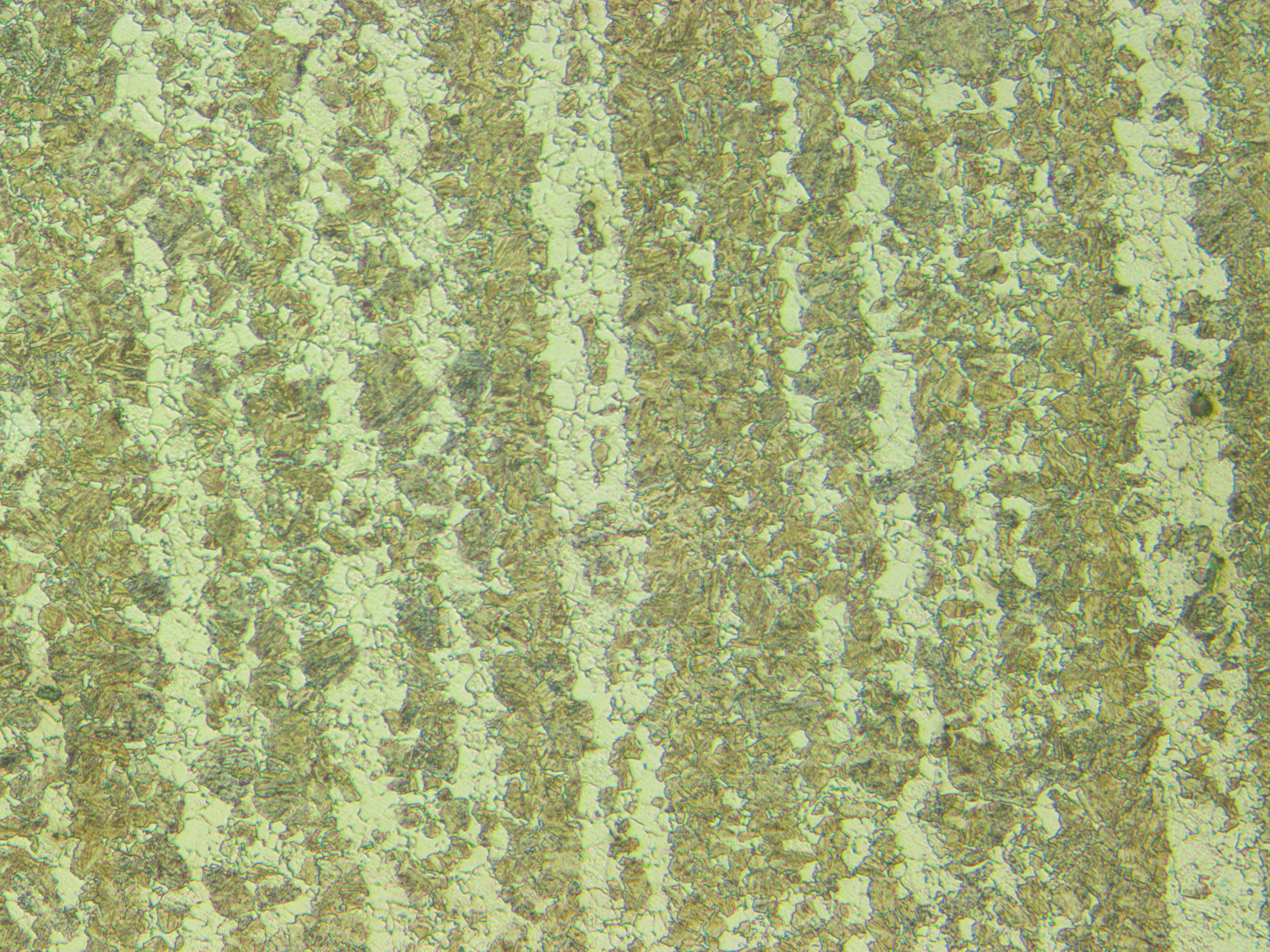 7393004-200-1.JPG