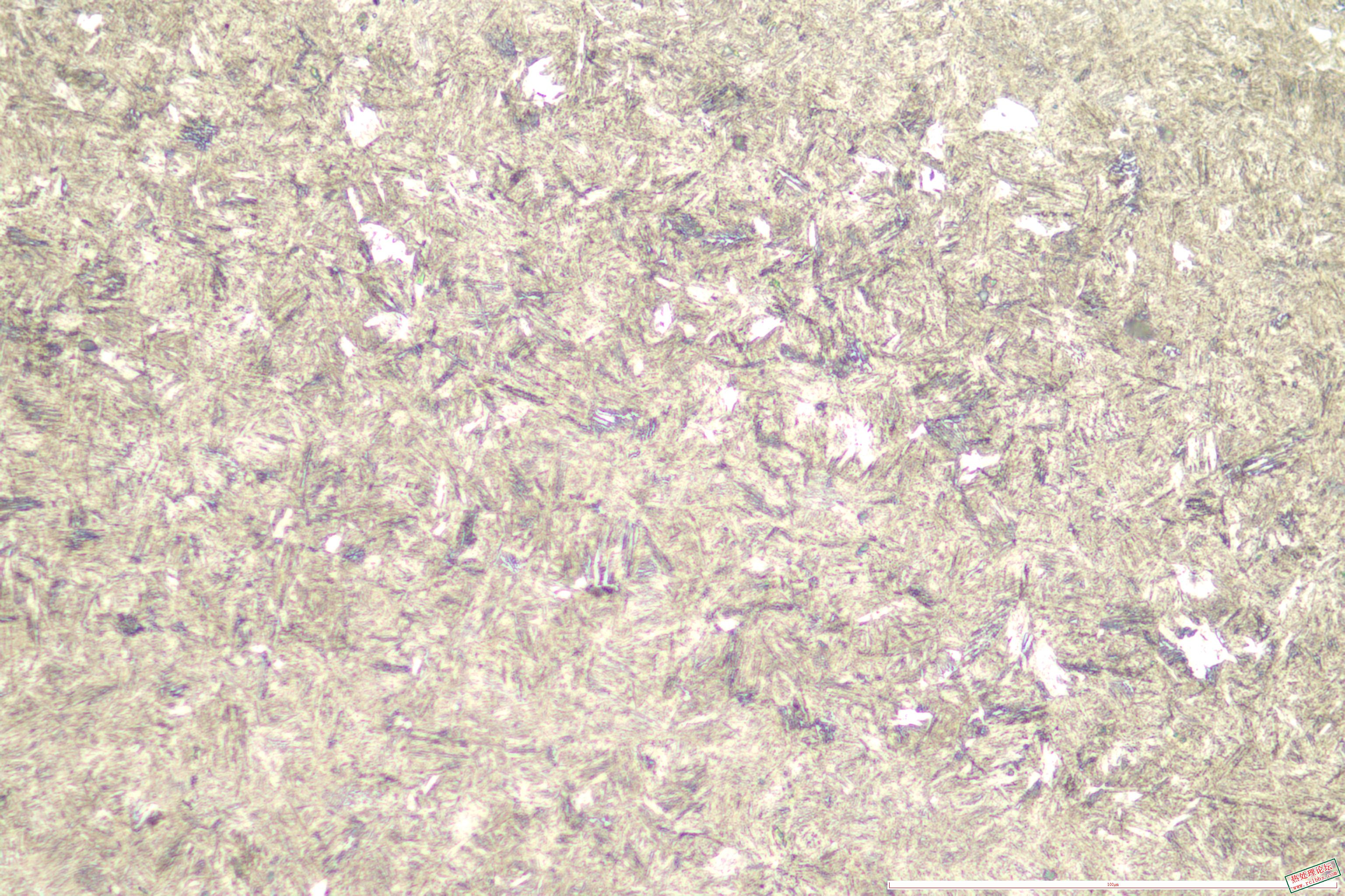 2022-6-18,1号内硬度为31腐蚀后500倍金相照片.JPG