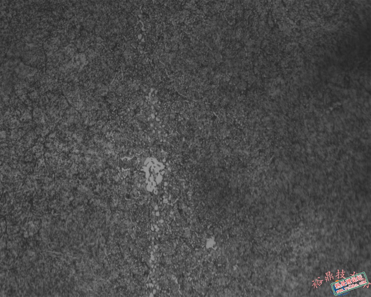 500X组织及碳化物聚集淬回火46-48HRC.jpg