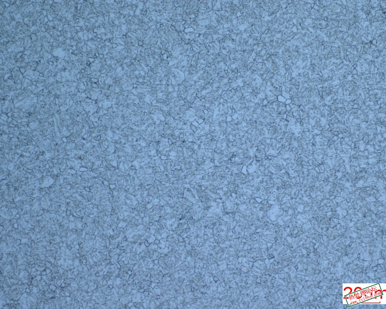 1Cr17Ni 氯化高铁侵蚀.jpg