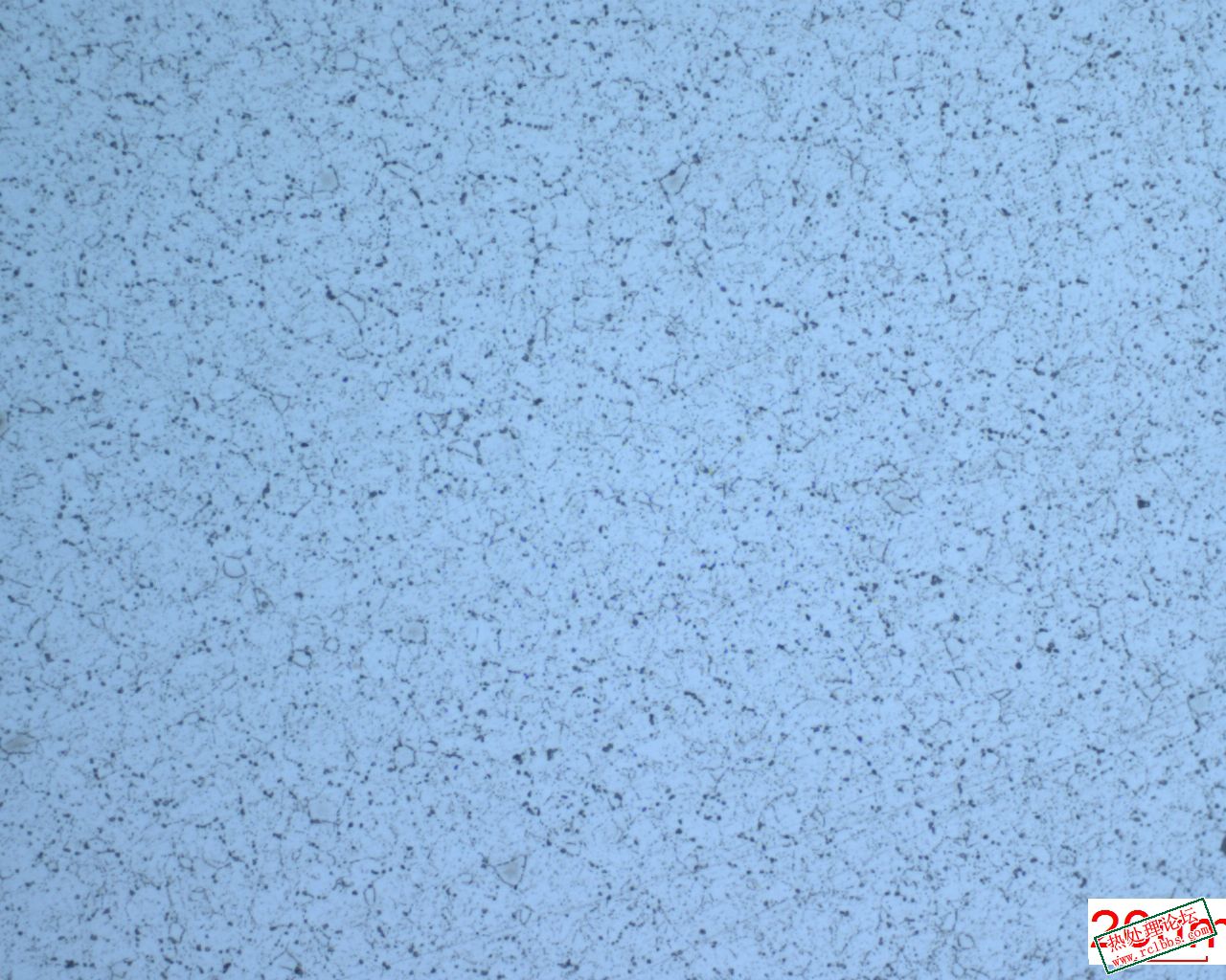1Cr17Ni 氢氧化钠电解.jpg