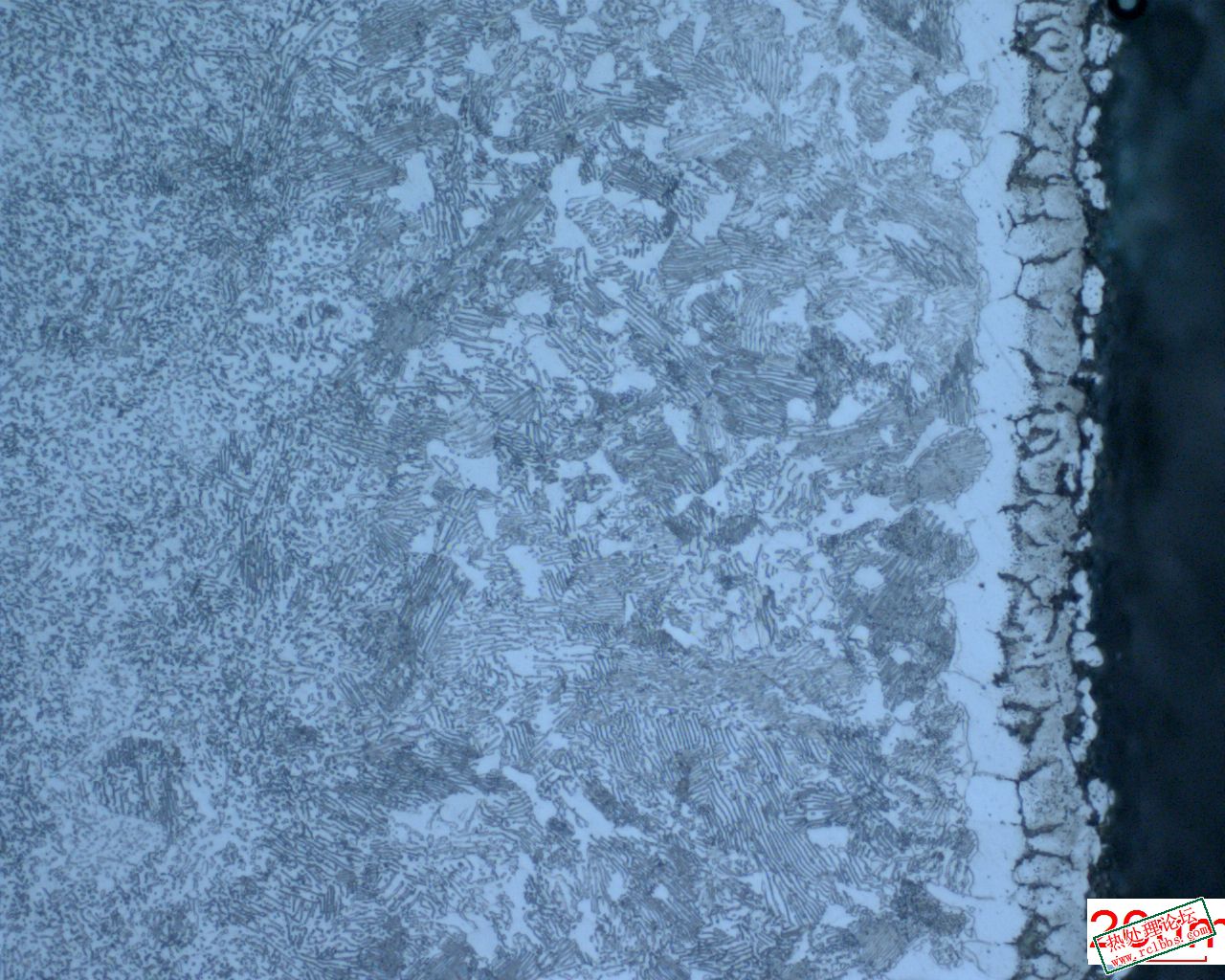 220801142126776225l11726.jpg
