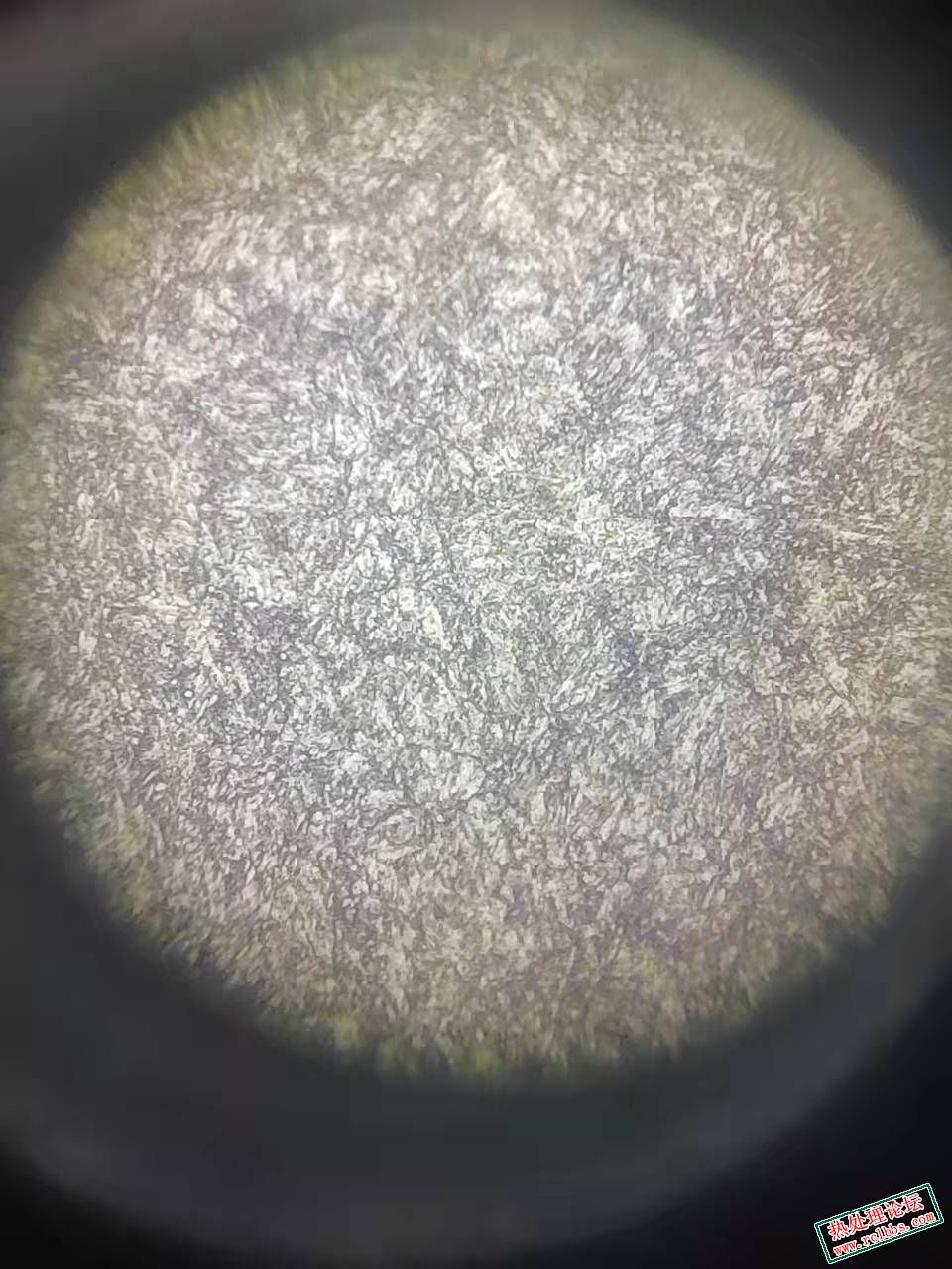 4acdb97b71ec959b6d8d87ede91cd4d.jpg
