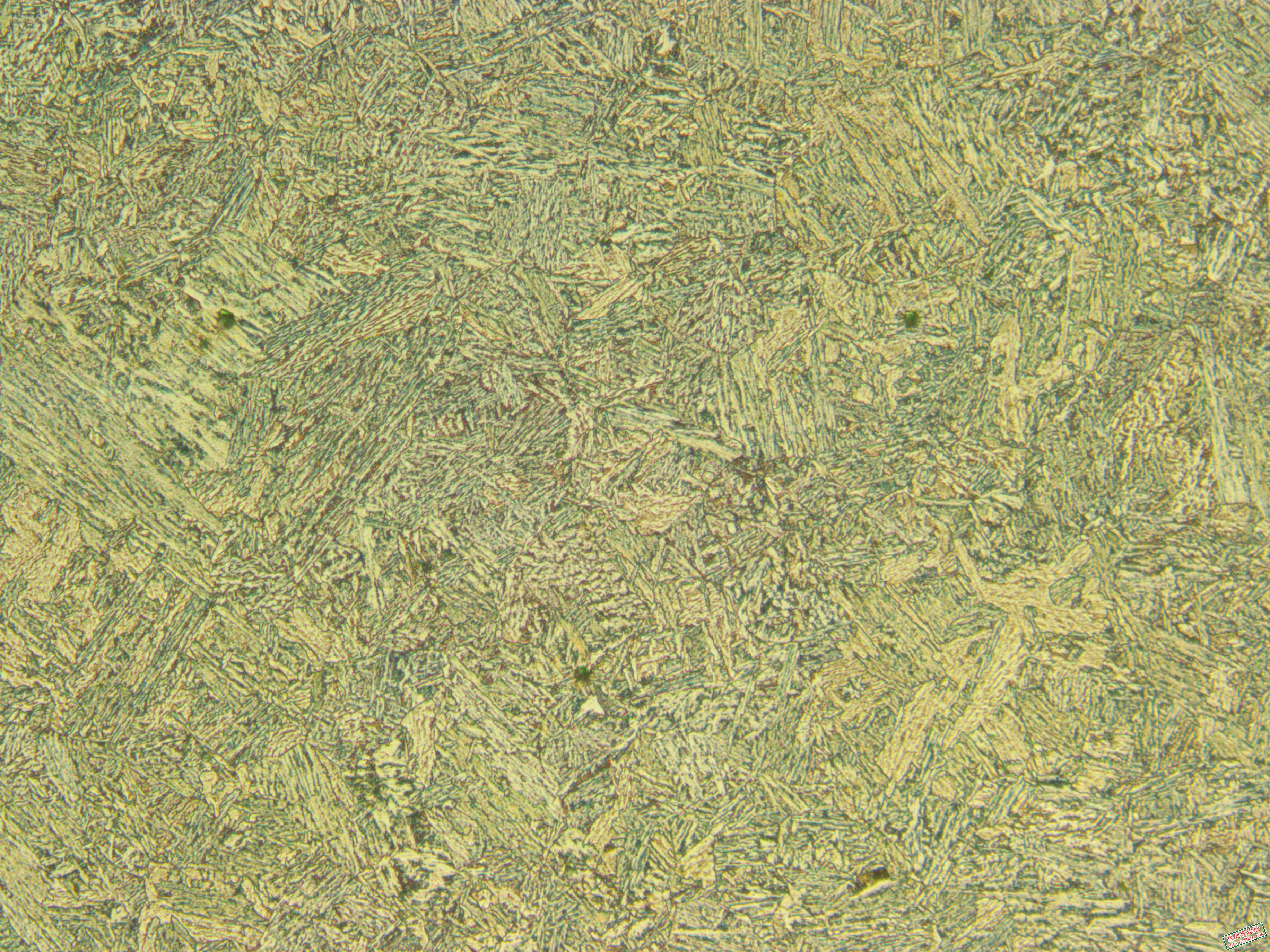 X100