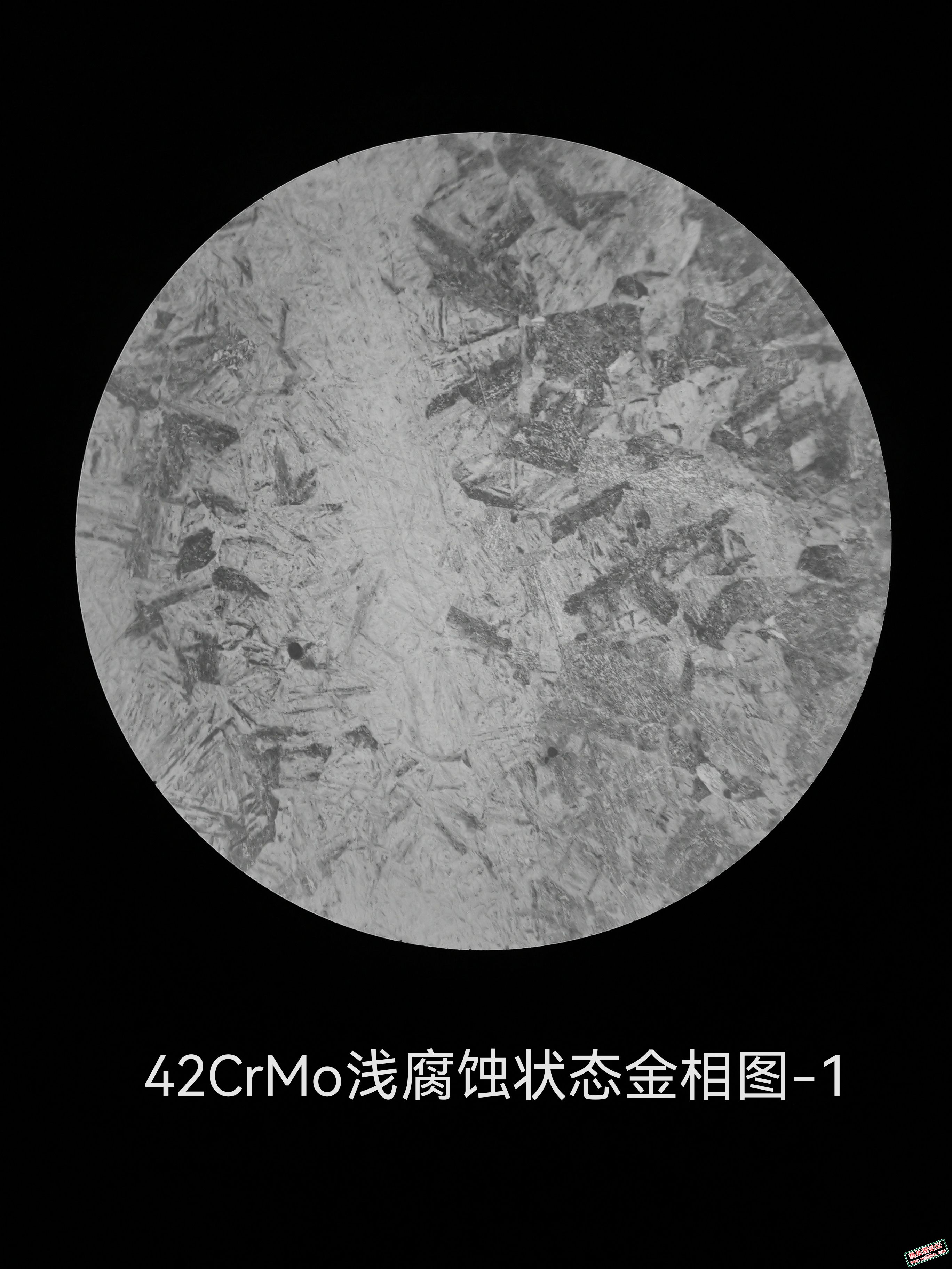 42CrMo浅腐蚀状态金相图-1.jpg